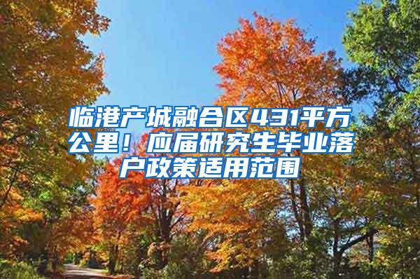 临港产城融合区431平方公里！应届研究生毕业落户政策适用范围