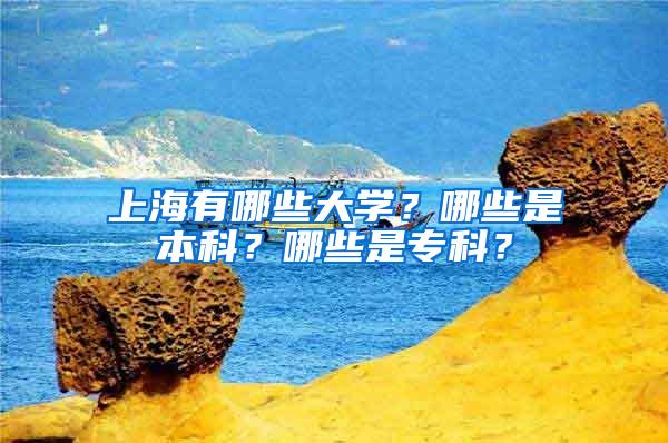 上海有哪些大学？哪些是本科？哪些是专科？