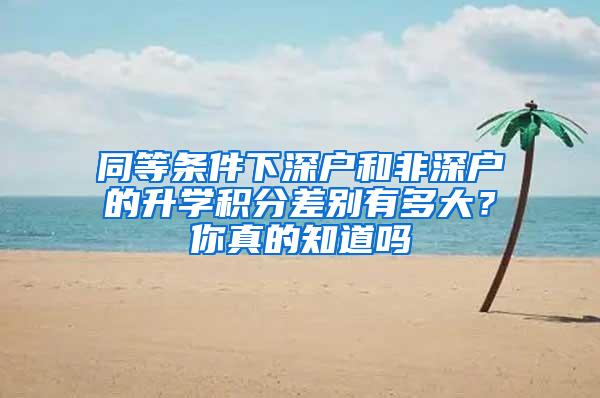 同等条件下深户和非深户的升学积分差别有多大？你真的知道吗