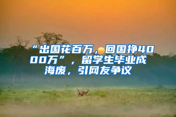 “出国花百万，回国挣4000万”，留学生毕业成海废，引网友争议