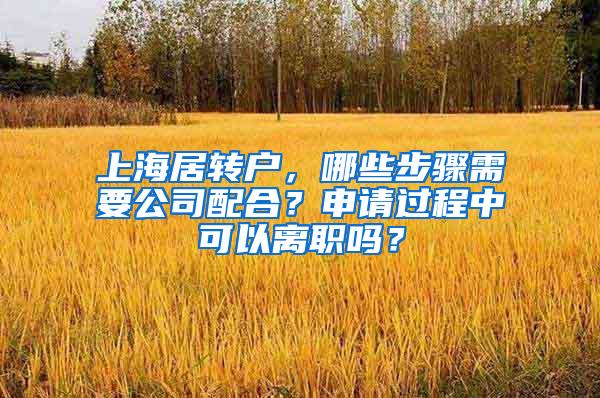 上海居转户，哪些步骤需要公司配合？申请过程中可以离职吗？