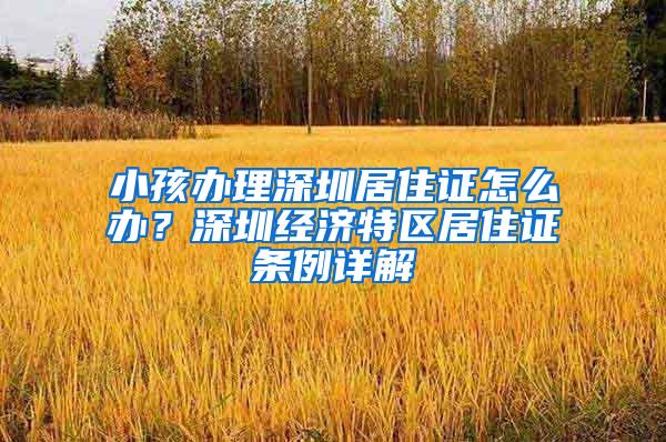 小孩办理深圳居住证怎么办？深圳经济特区居住证条例详解