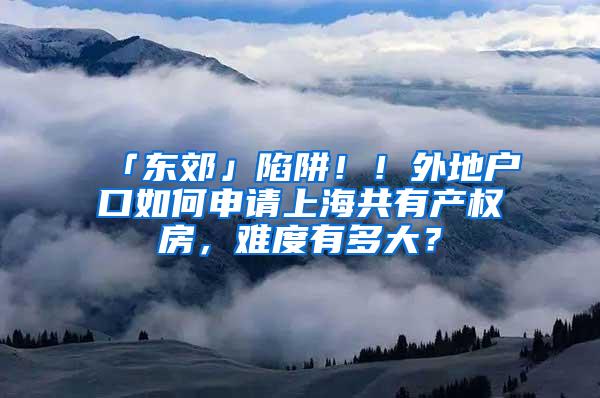 「东郊」陷阱！！外地户口如何申请上海共有产权房，难度有多大？