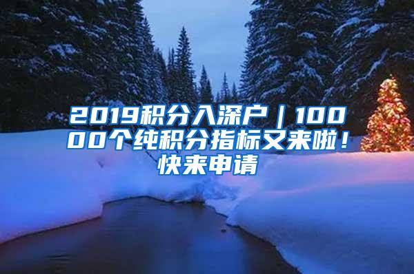 2019积分入深户｜10000个纯积分指标又来啦！快来申请