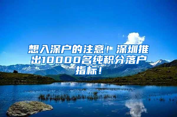 想入深户的注意！深圳推出10000名纯积分落户指标！