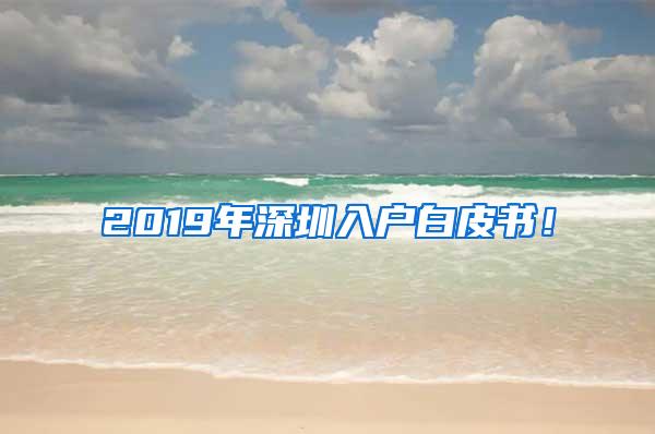 2019年深圳入户白皮书！