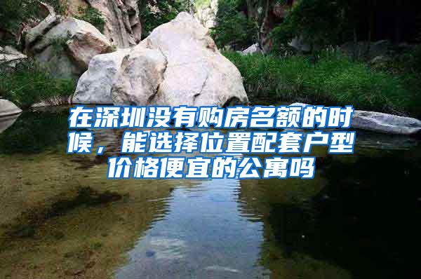 在深圳没有购房名额的时候，能选择位置配套户型价格便宜的公寓吗