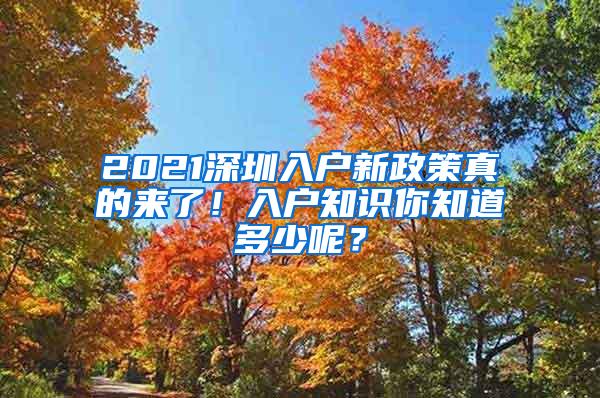 2021深圳入户新政策真的来了！入户知识你知道多少呢？