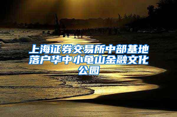 上海证券交易所中部基地落户华中小龟山金融文化公园