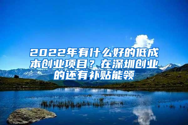 2022年有什么好的低成本创业项目？在深圳创业的还有补贴能领