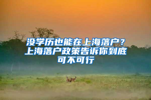 没学历也能在上海落户？上海落户政策告诉你到底可不可行