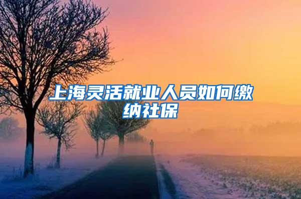 上海灵活就业人员如何缴纳社保