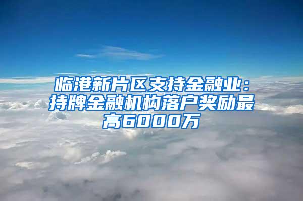 临港新片区支持金融业：持牌金融机构落户奖励最高6000万