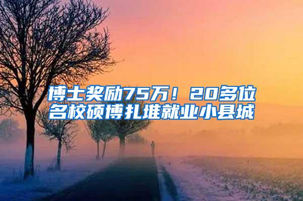 博士奖励75万！20多位名校硕博扎堆就业小县城