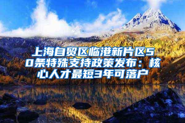 上海自贸区临港新片区50条特殊支持政策发布：核心人才最短3年可落户