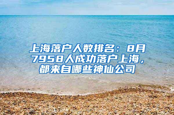 上海落户人数排名：8月7958人成功落户上海，都来自哪些神仙公司