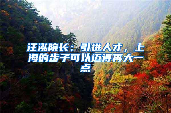 汪泓院长：引进人才，上海的步子可以迈得再大一点