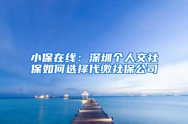 小保在线：深圳个人交社保如何选择代缴社保公司