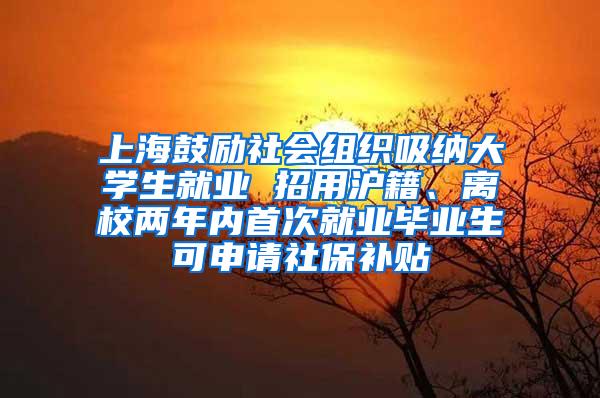 上海鼓励社会组织吸纳大学生就业 招用沪籍、离校两年内首次就业毕业生可申请社保补贴