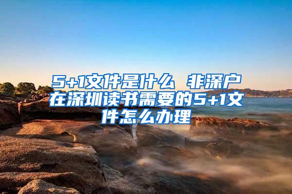 5+1文件是什么 非深户在深圳读书需要的5+1文件怎么办理