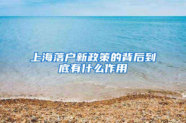 上海落户新政策的背后到底有什么作用