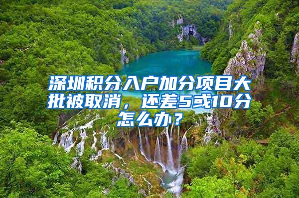 深圳积分入户加分项目大批被取消，还差5或10分怎么办？