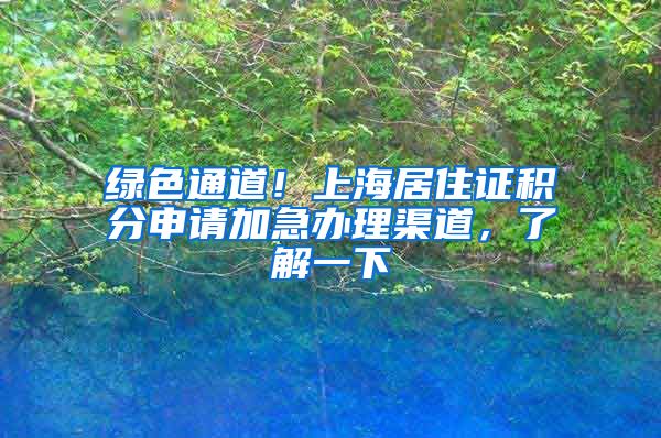 绿色通道！上海居住证积分申请加急办理渠道，了解一下