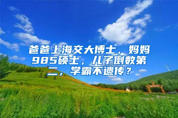 爸爸上海交大博士，妈妈985硕士，儿子倒数第二，学霸不遗传？