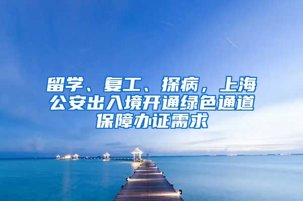 留学、复工、探病，上海公安出入境开通绿色通道保障办证需求