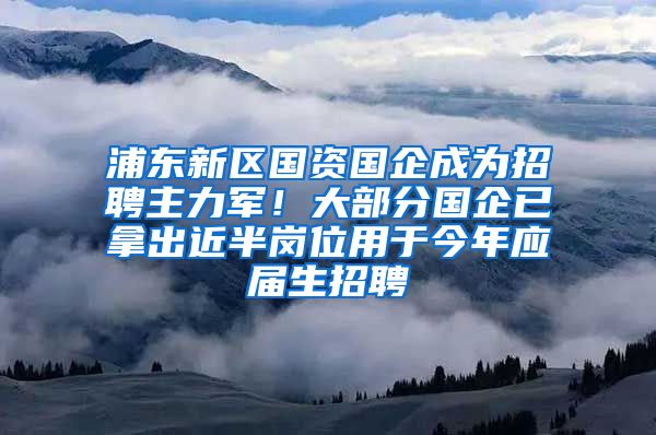 浦东新区国资国企成为招聘主力军！大部分国企已拿出近半岗位用于今年应届生招聘