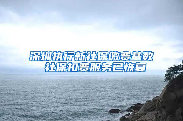 深圳执行新社保缴费基数 社保扣费服务已恢复