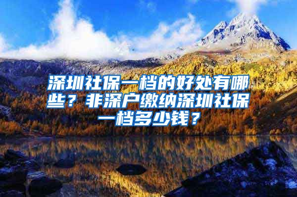 深圳社保一档的好处有哪些？非深户缴纳深圳社保一档多少钱？