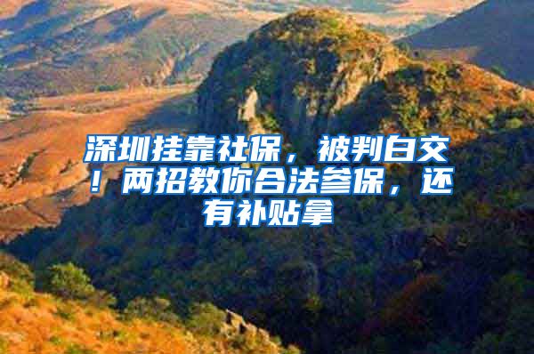 深圳挂靠社保，被判白交！两招教你合法参保，还有补贴拿