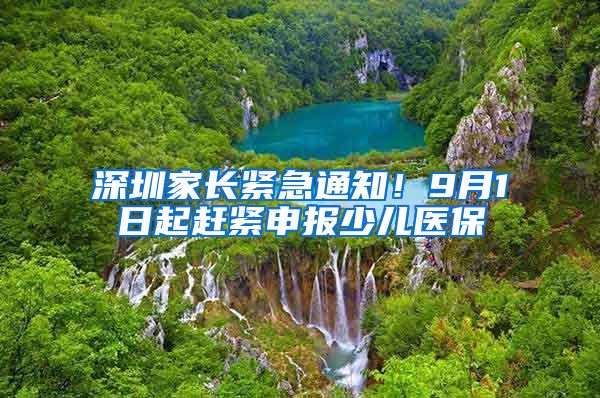 深圳家长紧急通知！9月1日起赶紧申报少儿医保