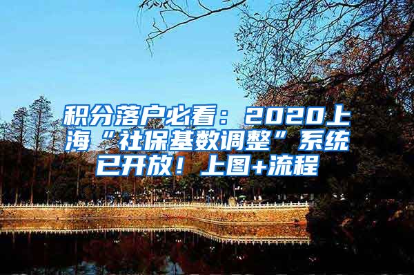 积分落户必看：2020上海“社保基数调整”系统已开放！上图+流程