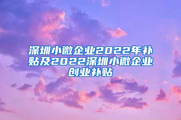 深圳小微企业2022年补贴及2022深圳小微企业创业补贴