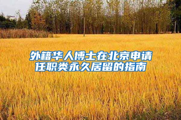外籍华人博士在北京申请任职类永久居留的指南