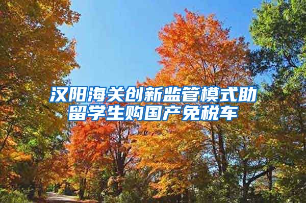 汉阳海关创新监管模式助留学生购国产免税车