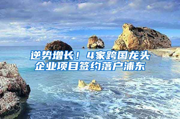 逆势增长！4家跨国龙头企业项目签约落户浦东