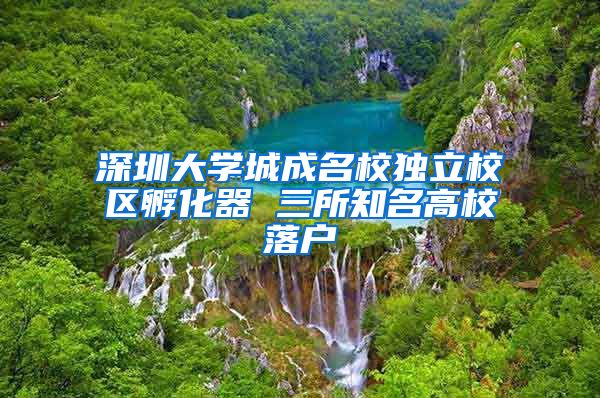 深圳大学城成名校独立校区孵化器 三所知名高校落户