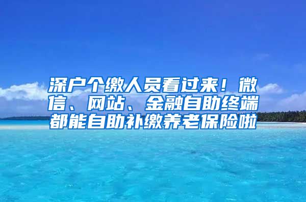 深户个缴人员看过来！微信、网站、金融自助终端都能自助补缴养老保险啦