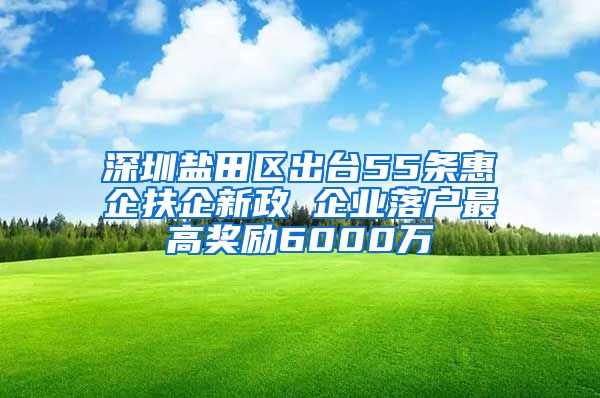 深圳盐田区出台55条惠企扶企新政 企业落户最高奖励6000万