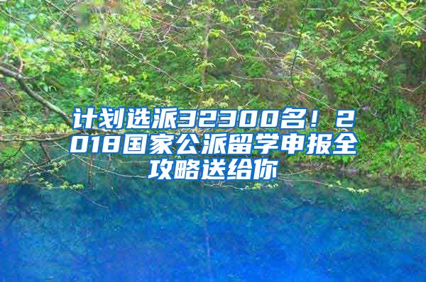 计划选派32300名！2018国家公派留学申报全攻略送给你