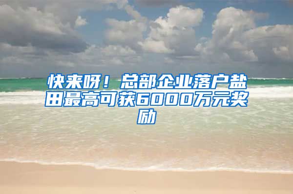 快来呀！总部企业落户盐田最高可获6000万元奖励