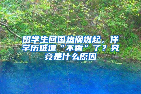 留学生回国热潮燃起，洋学历难道“不香”了？究竟是什么原因