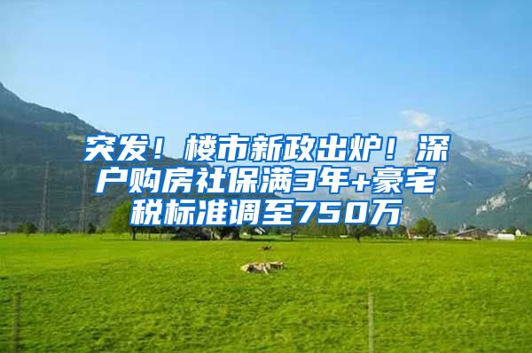 突发！楼市新政出炉！深户购房社保满3年+豪宅税标准调至750万