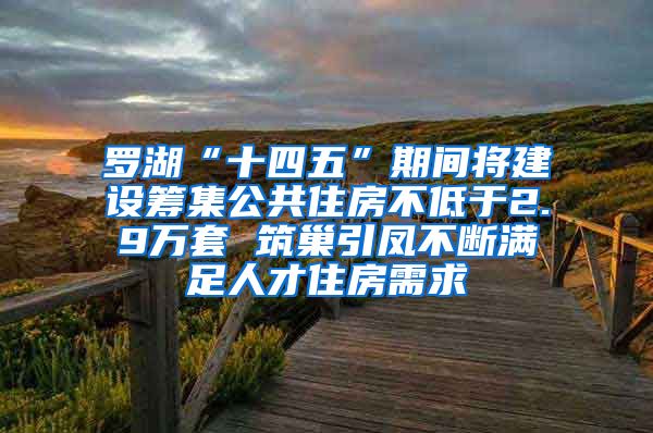 罗湖“十四五”期间将建设筹集公共住房不低于2.9万套 筑巢引凤不断满足人才住房需求