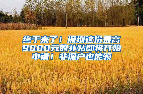 终于来了！深圳这份最高9000元的补贴即将开始申请！非深户也能领