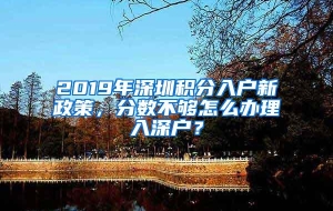 2019年深圳积分入户新政策，分数不够怎么办理入深户？