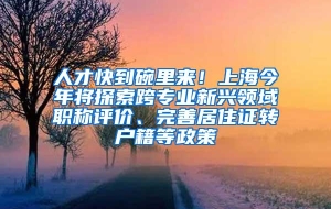 人才快到碗里来！上海今年将探索跨专业新兴领域职称评价、完善居住证转户籍等政策